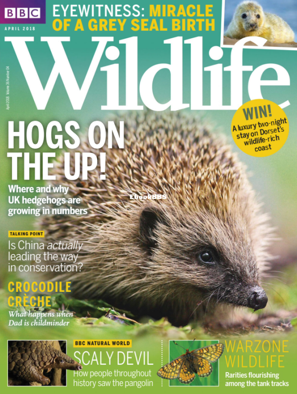 BBC Wildlife 04.2018 - 1.png