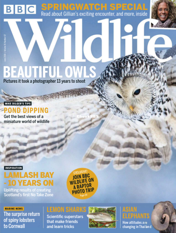 BBC Wildlife 07.2018 - 1.png