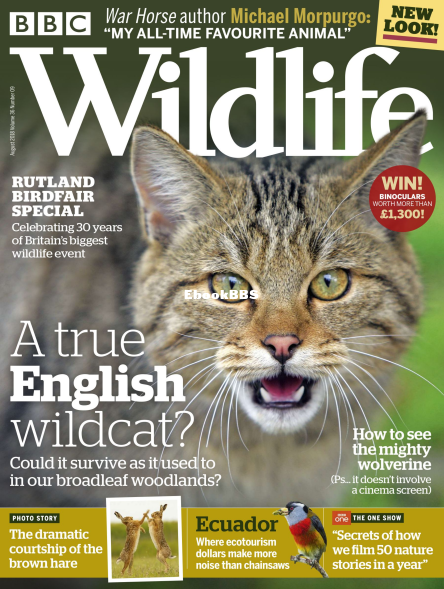 BBC Wildlife 09.2018 - 1.png