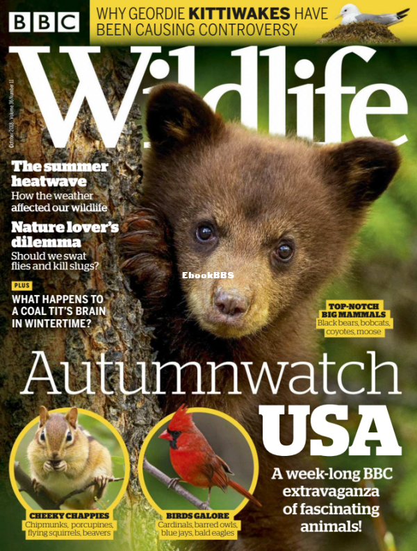 BBC Wildlife 11.2018 - 1.png