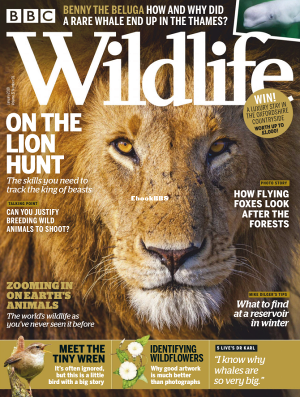 BBC Wildlife 01.2019 - 1.png