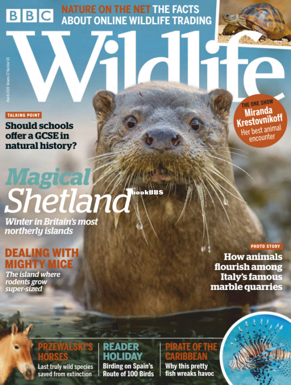 BBC Wildlife 03.2019 - 1.png