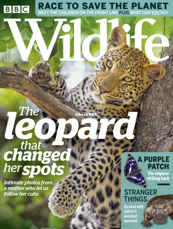 BBC Wildlife 08.2019 - 1.png