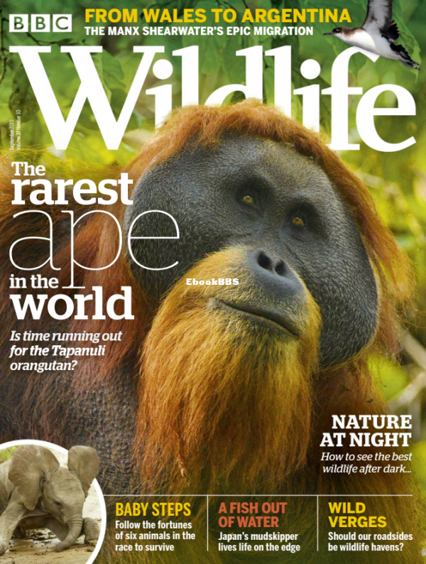 BBC Wildlife -10.2019 - 1.png