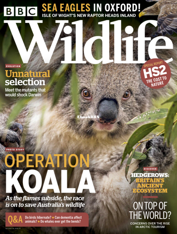 BBC Wildlife - 04.2020 - 1.png