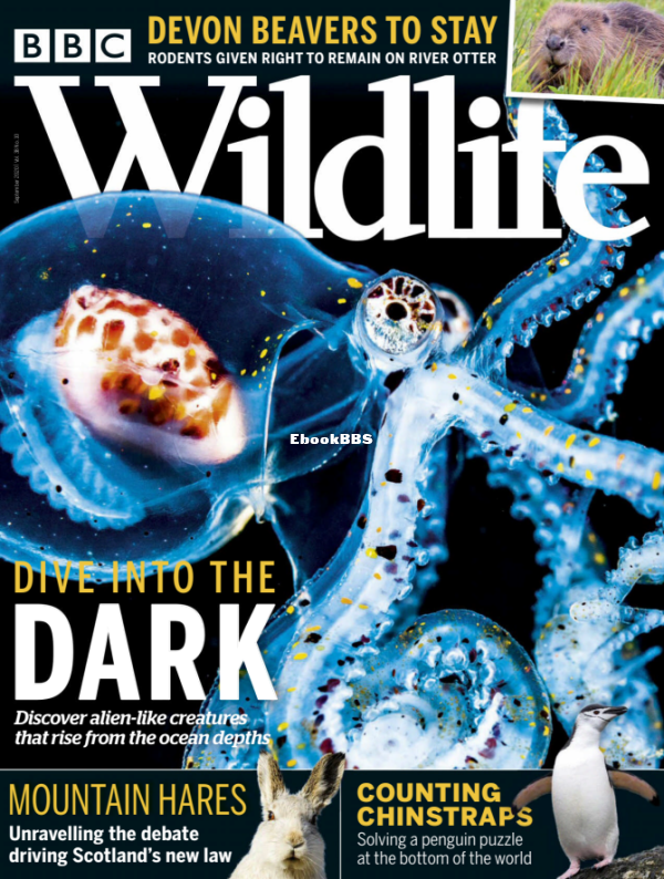 BBC Wildlife 10.2020 - 1.png