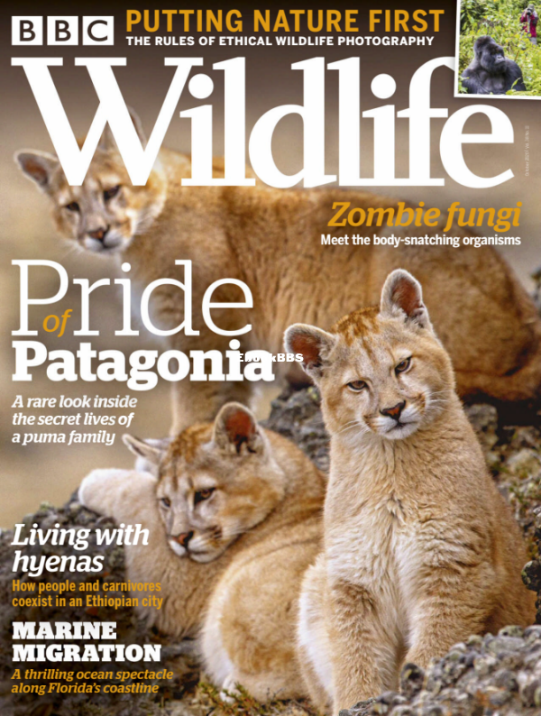 BBC Wildlife 11.2020 - 1.png