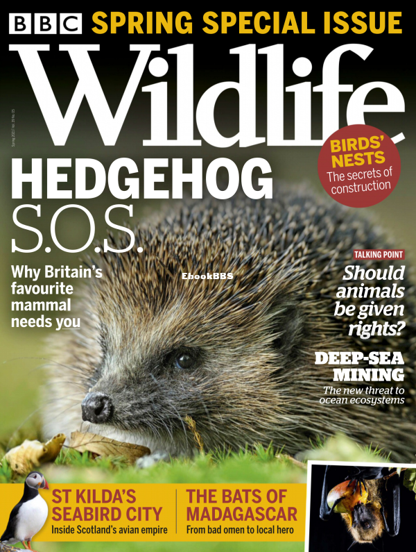 BBC Wildlife Spring 05.2021 - 1.png