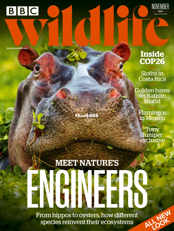 BBC Wildlife 12.2021 - 1.png