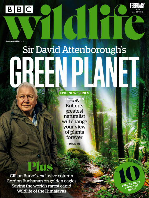 BBC Wildlife 02.2022 - 1.png