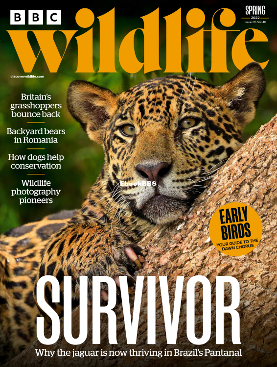 BBC Wildlife 05.2022 - 1.png