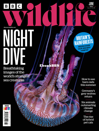 BBC Wildlife - 07.2022 - 1.png