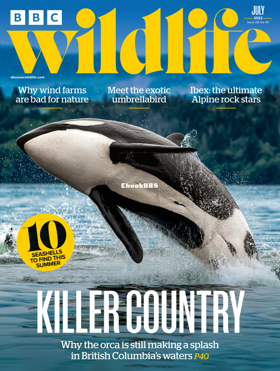 BBC Wildlife 08.2022 - 1.png
