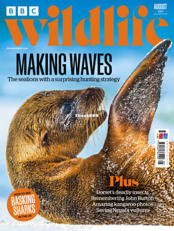 BBC Wildlife 09.2022 - 1.png