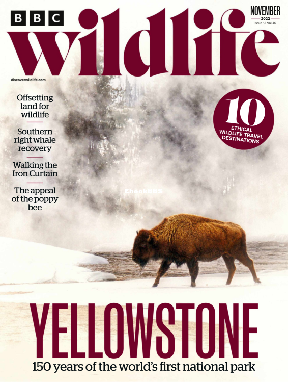 BBC Wildlife - 12.2022 - 1.png