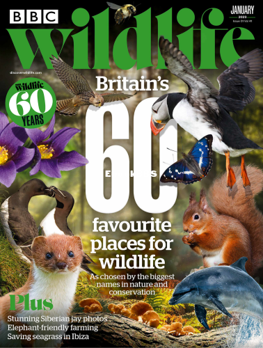 BBC Wildlife 01.2023 - 1.png