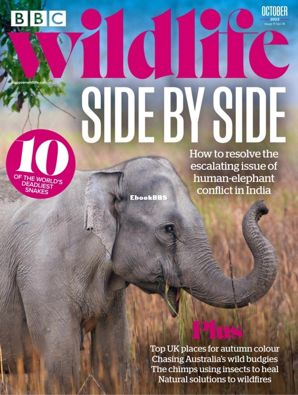 BBCWildlife 11.2023 - 1.jpg
