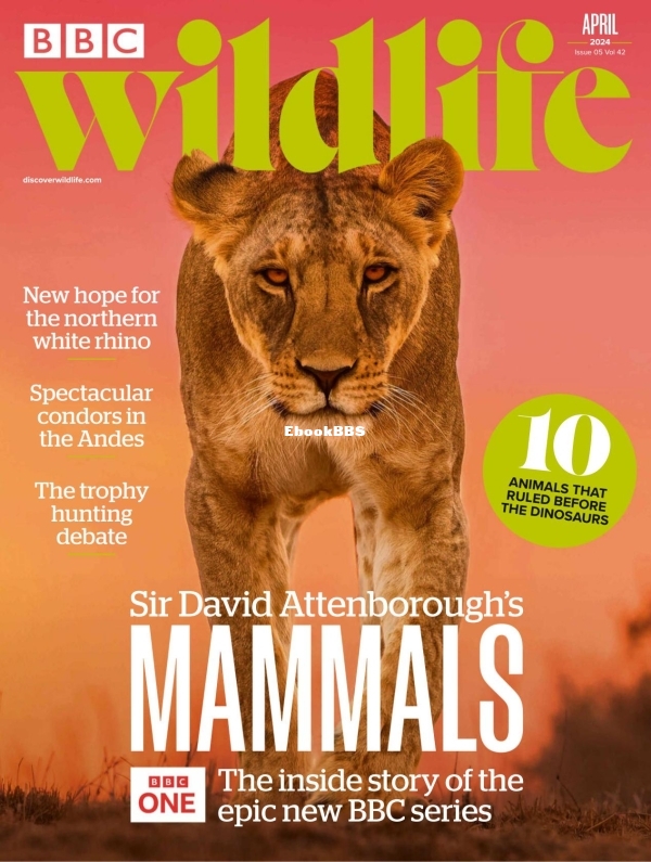 BBC Wildlife 04.2024 - 1.jpg