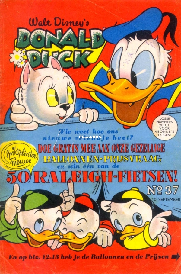 d37-01.jpg