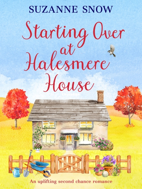 Starting Over at Halesmere House - Suzanne Snow.jpg
