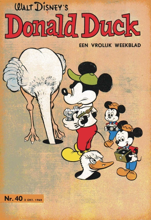 dd40001.jpg