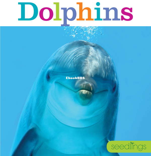 Dolphins - 1.png