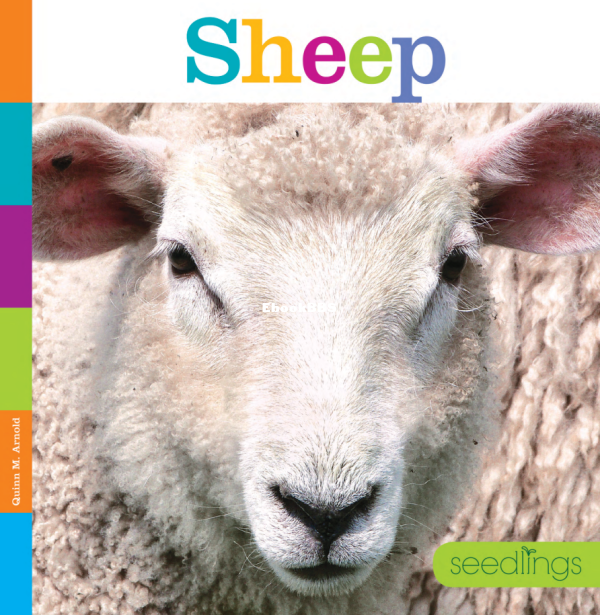 Sheep (Seedlings) - 1.png