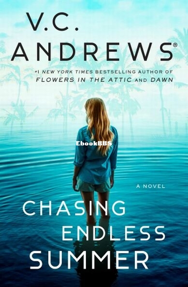 Chasing Endless Summer.jpg