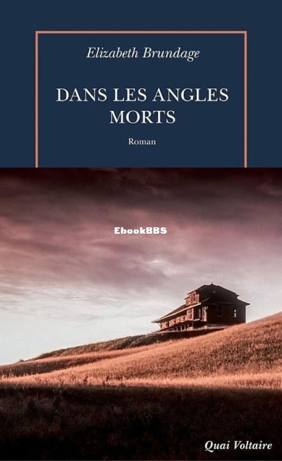 Dans les angles morts (Elizabeth Brundage) (Z-Library).jpg