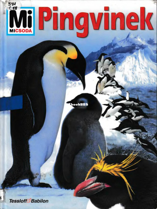 Mi micsoda 056 Culik Boris Pingvinek - 1.png