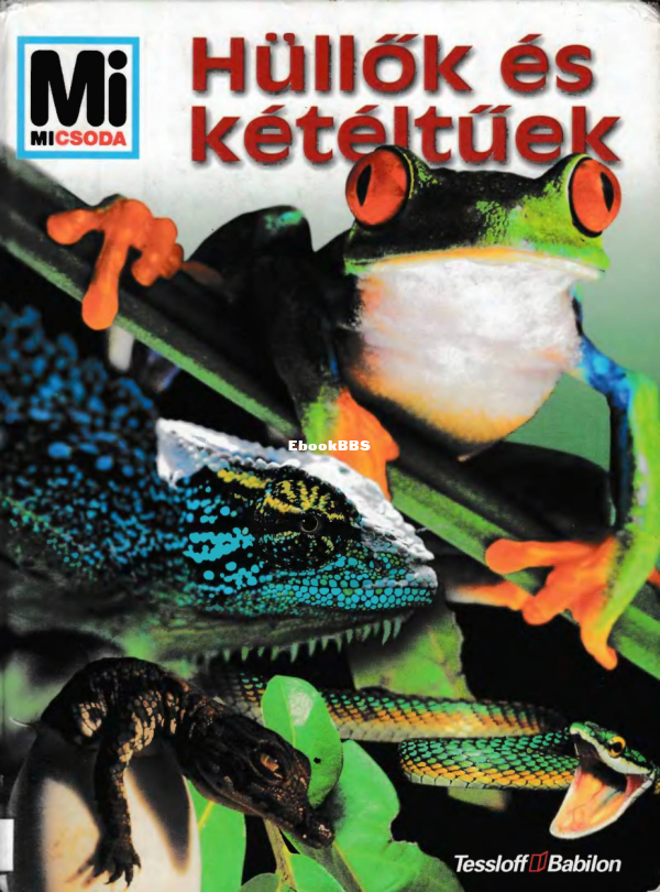 Mi micsoda 061 Niekisch M Hüllők és kétéltűek - 1.png