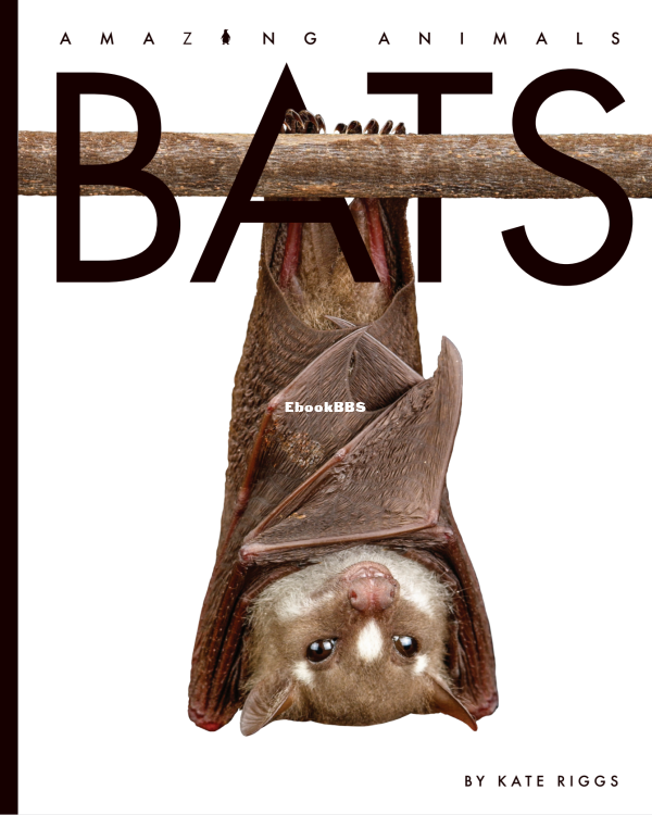 Bats - 1.png