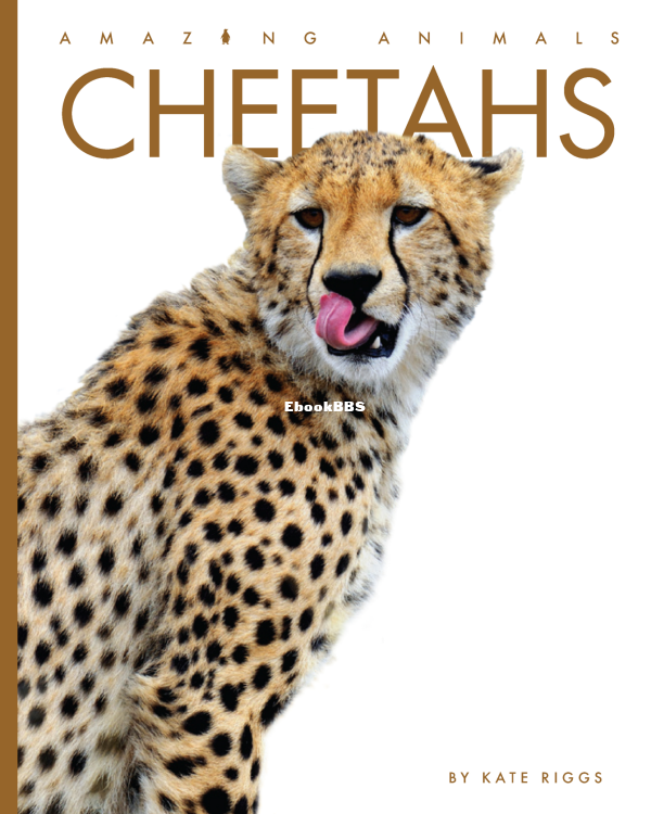 Cheetahs - 1.png