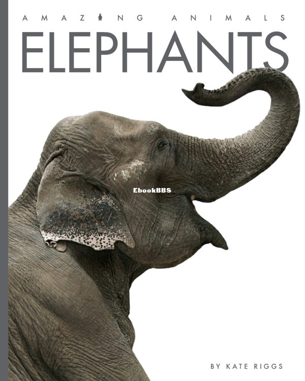 Elephants - 1.png