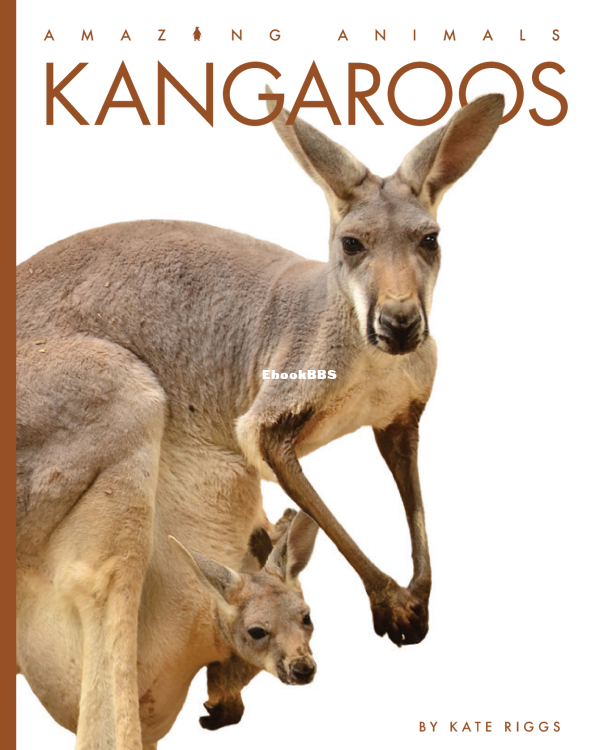 Kangaroos (Amazing Animals) - 1.png