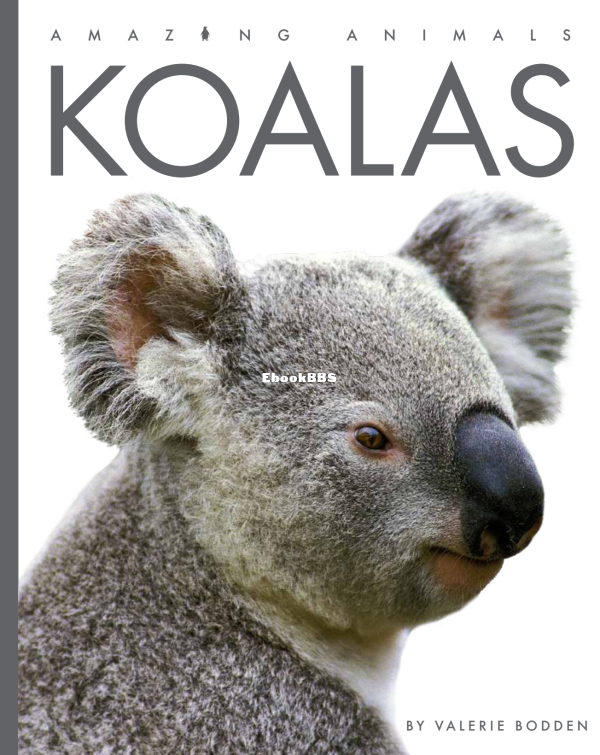 Koalas (Amazing Animals) - 1.png