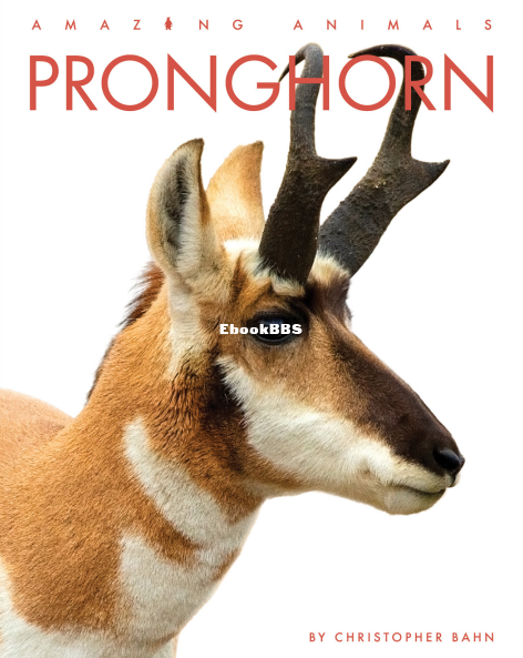 Pronghorn_(Amazing Animals) - 1.png
