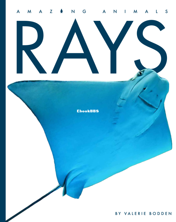 Rays (Amazing Animals) - 1.png
