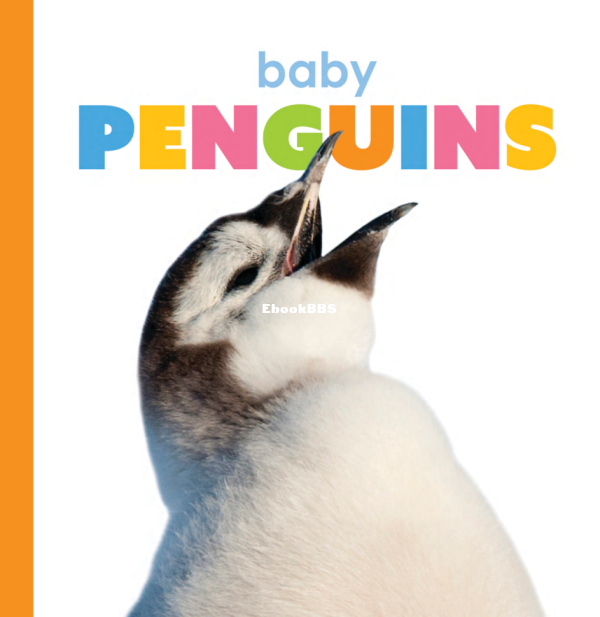 Baby Penguins (Starting Out) - 1.png