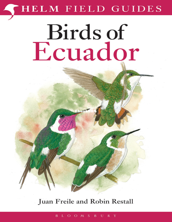 Birds_of_Ecuador_-_Robin_Restall - 1.png