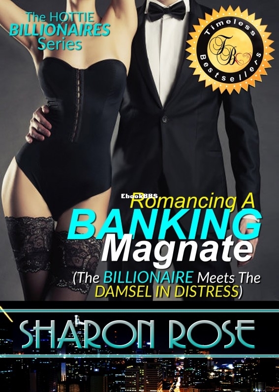 Hottie Billionaire Series_ Romancing A Banking Magnataire Meets The Damsel In Di.jpg