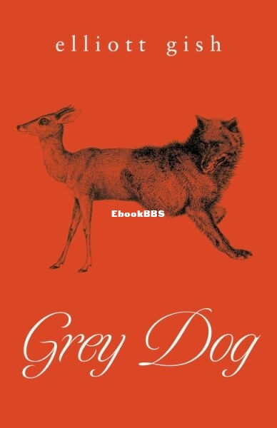 Grey Dog.jpg
