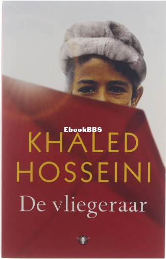 Screenshot_2025-04-13 De vliegeraar, Horn Miebeth van 9789023477327 Boeken bol.png