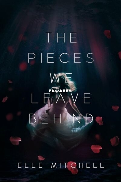 The Pieces We Leave Behind.jpg