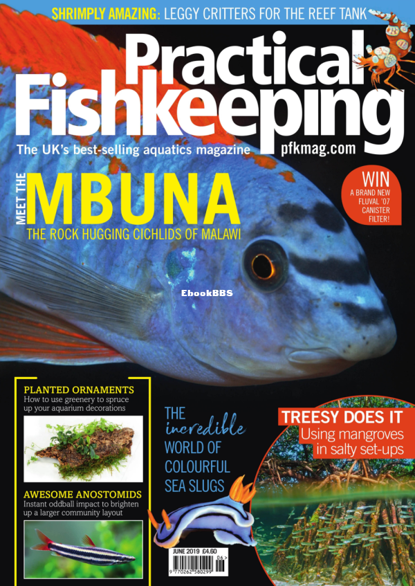 Practical Fishkeeping - June 2019 - 1.png