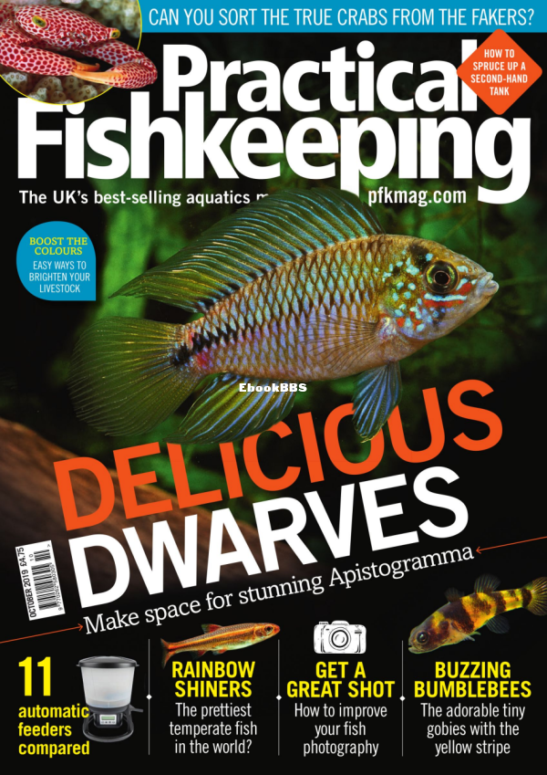 Practical Fishkeeping - October 2019 - 1.png