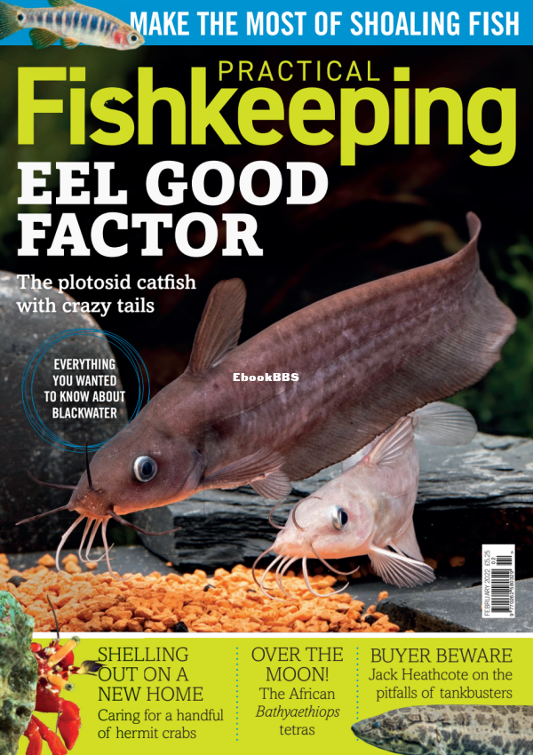 Practical Fishkeeping 02.2022 - 1.png