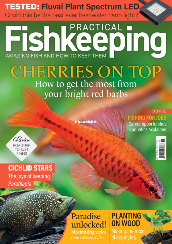 Practical Fishkeeping 10.2023 - 1.png