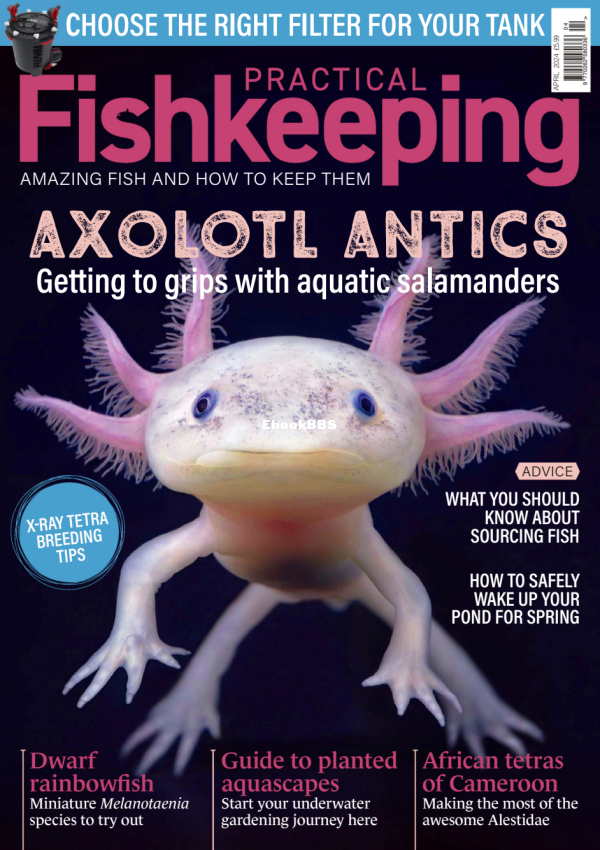 Practical Fishkeeping 04.2024 - 1.png