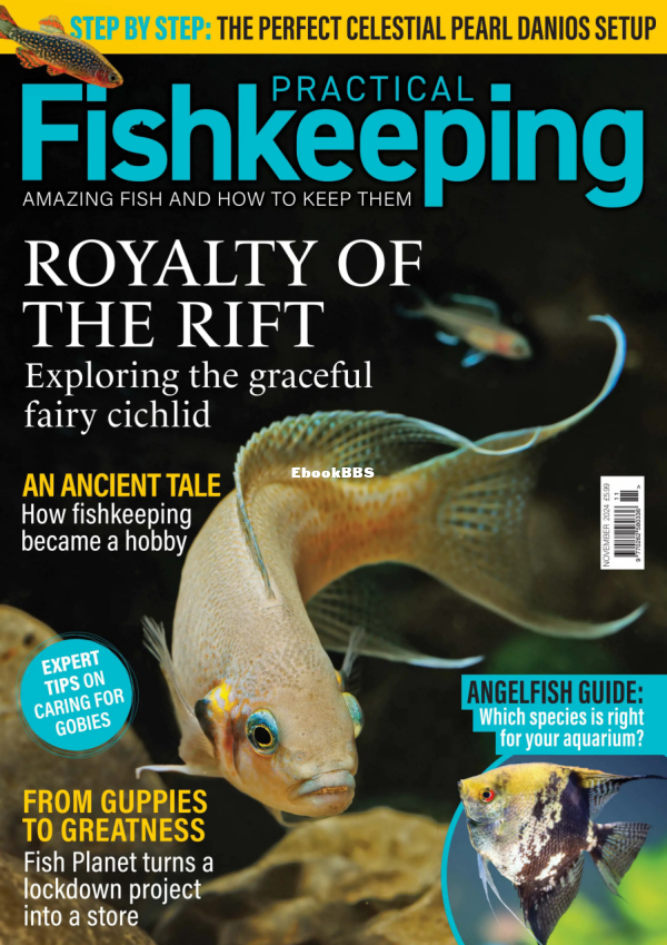 Practical Fishkeeping 11.2024 - 1.png